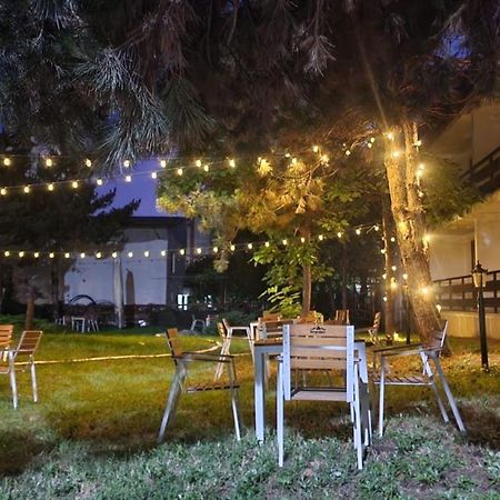 Hellen Residence コスティネシュティ エクステリア 写真