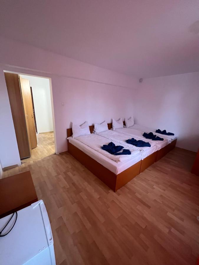 Hellen Residence コスティネシュティ エクステリア 写真